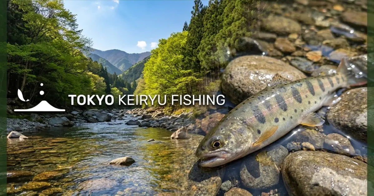 Fishing Experience