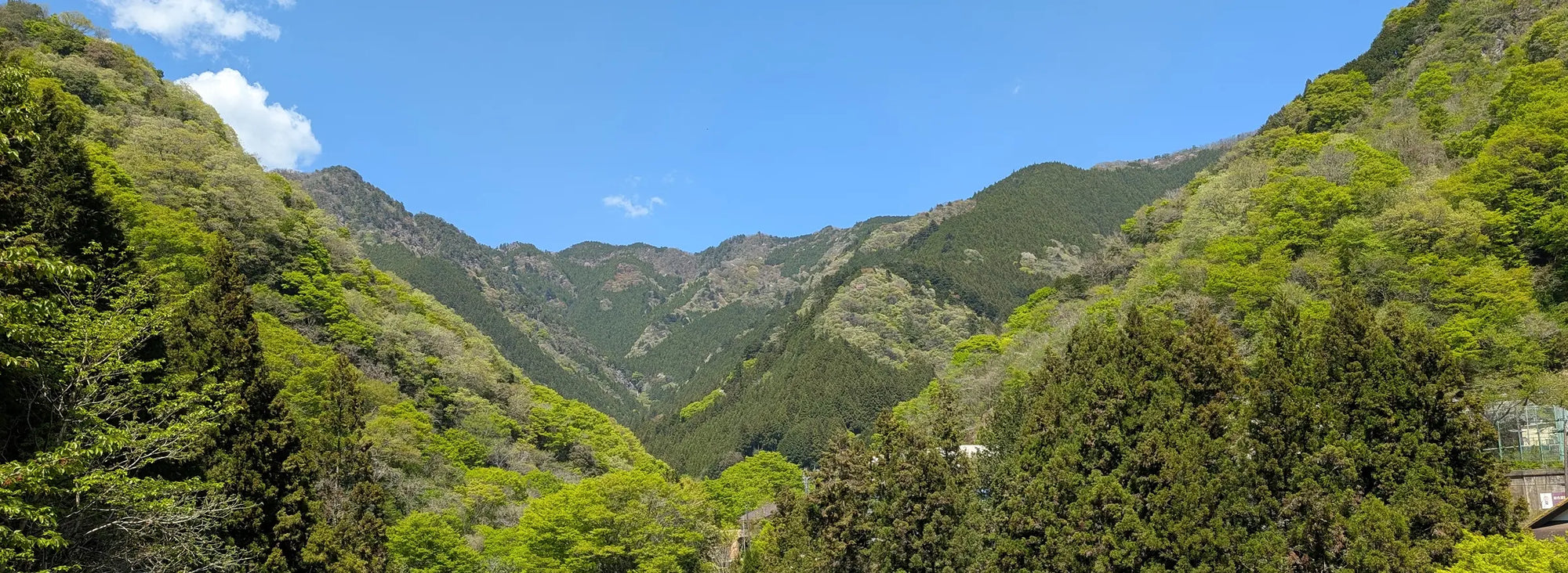 Mountain landscape in Tokyo